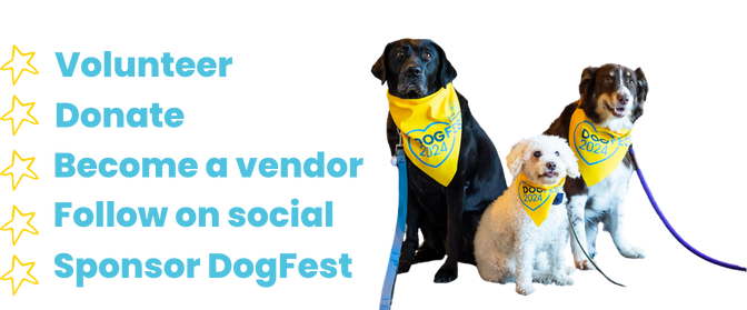 dogfestsample6.png